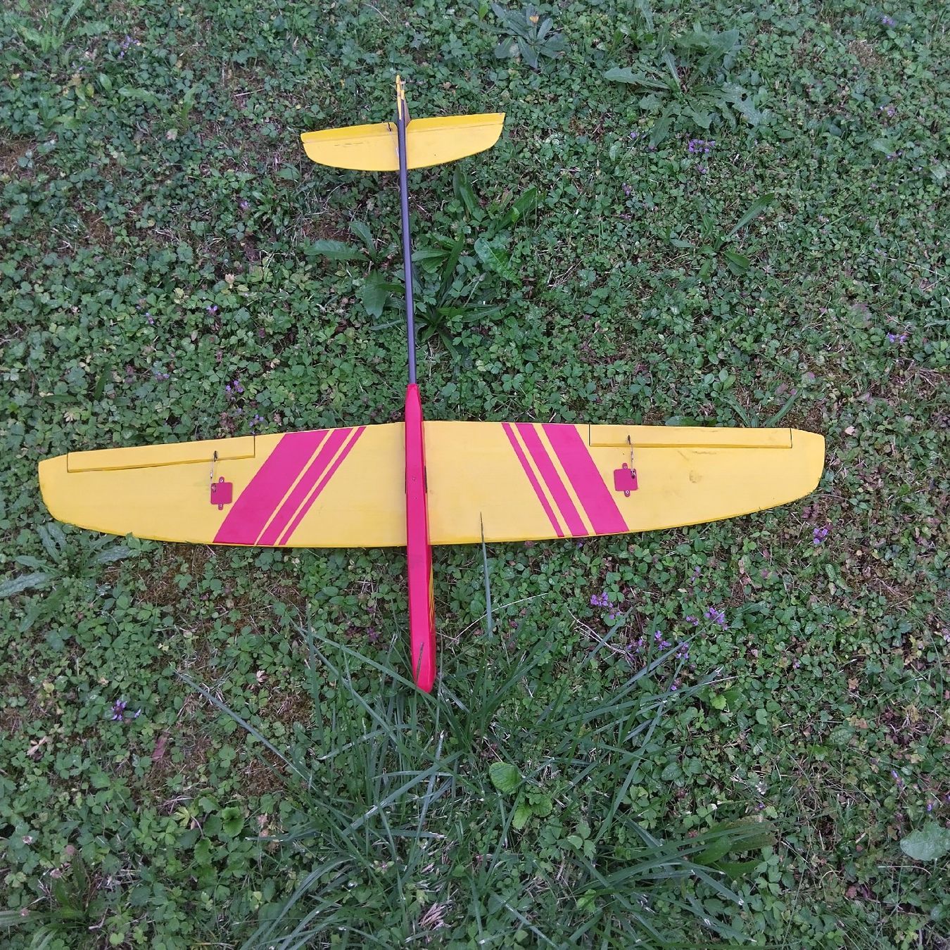RC Modellbau: Birdy Ds von Decker Planes – Gebraucht aus Altdorf SH von Gerrymini 1