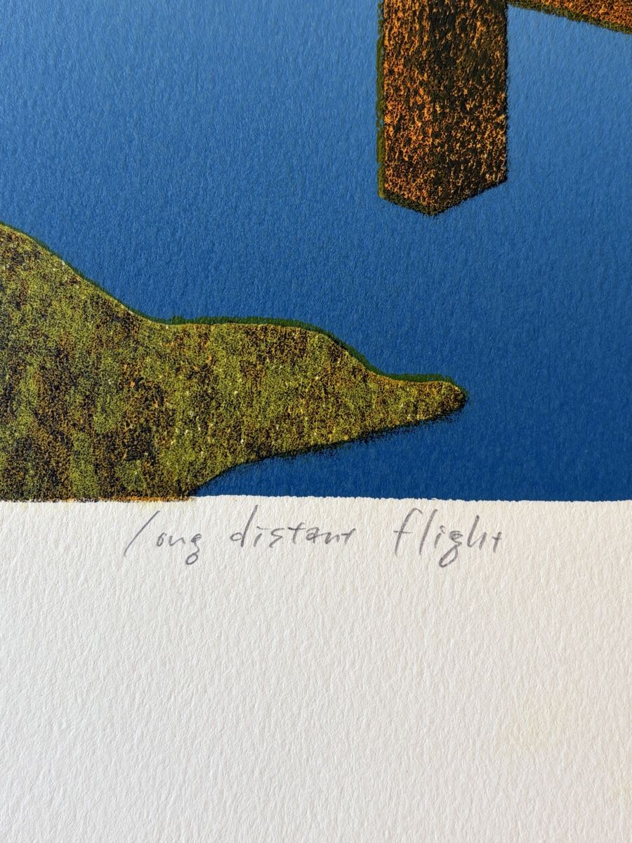 Grafiken & Lithographien: Lithographie Long Distant Flight signée numérotée 2/50 – Gebraucht aus le landeron von cance-lara 4