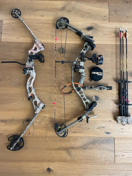 Compoundbogen Hoyt Avenger mit enorm viel Zubehör Kaufen auf Ricardo