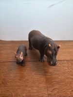 Nilpferd Mutter und Kind Schleich
