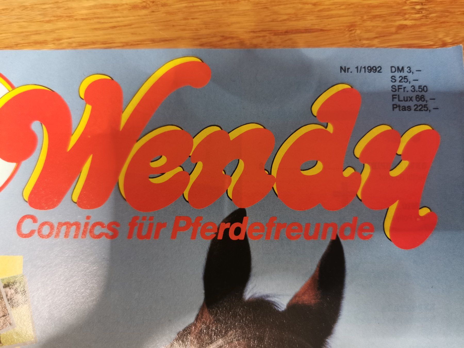Fumetti: Wendy Pferde Hefte / Comics / Zeitschriften 1992 – Usato da Tägerschen venduto da mamirockt 1