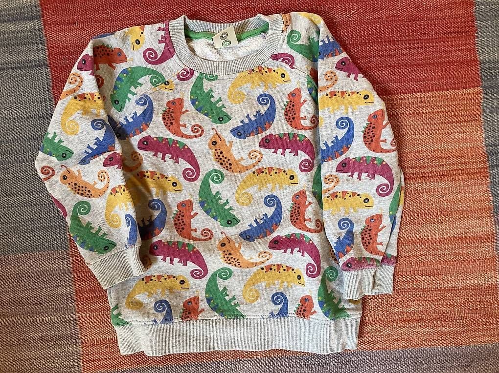 Pullover & Sweatshirts: Frugi Pullover – Gebraucht aus Haldenstein von meladin 1