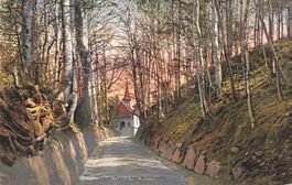 Küssnacht (SZ) – Die „Hohle Gasse“, historische Tellstraße