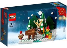 LEGO Holiday & Event: Christmas Santa's Front Yard (40484)