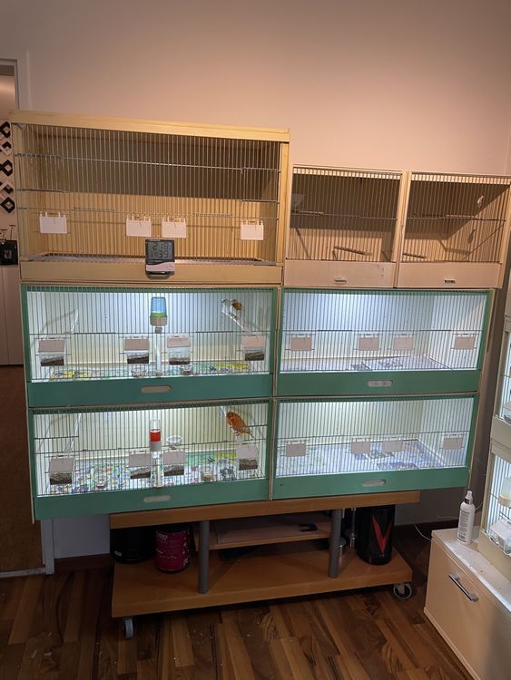 Zuchtbox 160x40x40 cm BHT für Kanarien oder Endres Exoten Kaufen auf