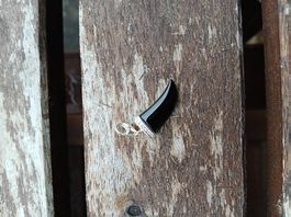 THOMAS SABO Silver Tooth-Charm