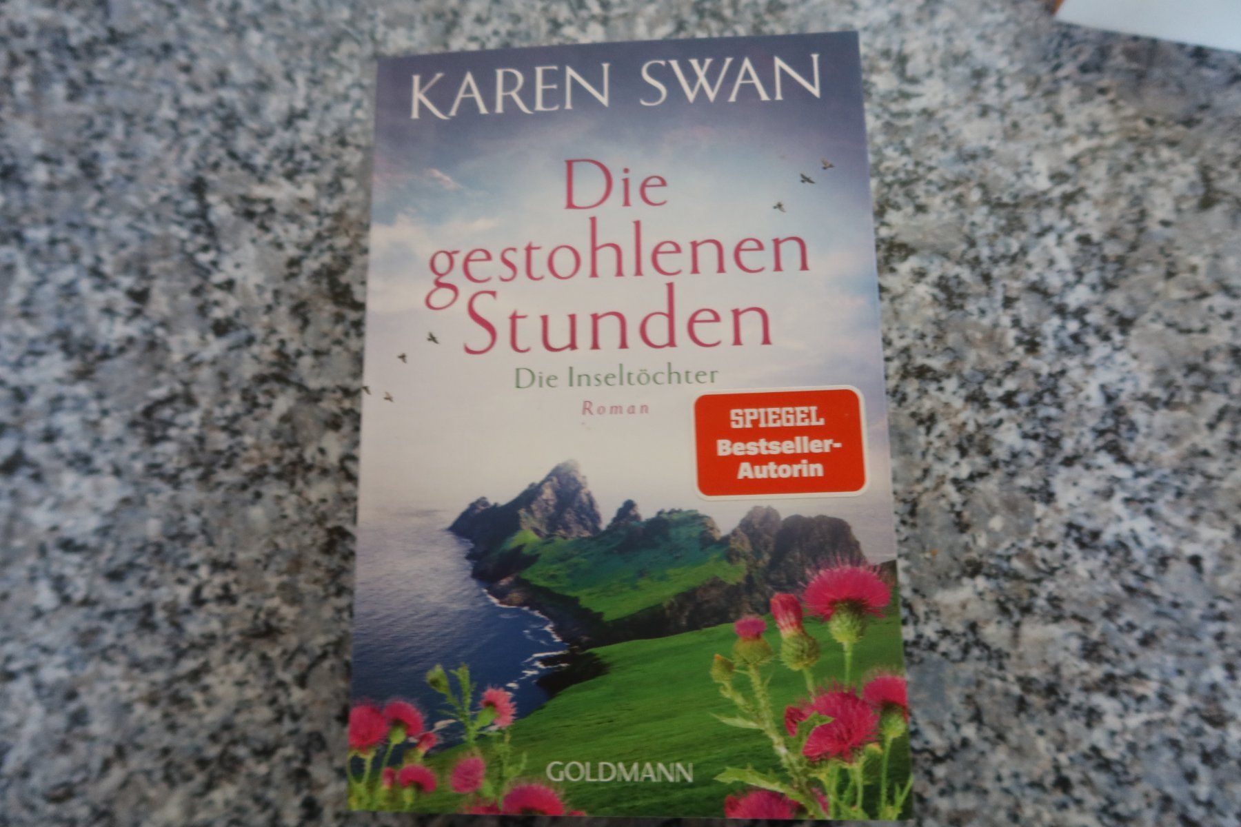 Libri: Die gestohlenen Stunden – Usato da Täuffelen venduto da Cindybussy