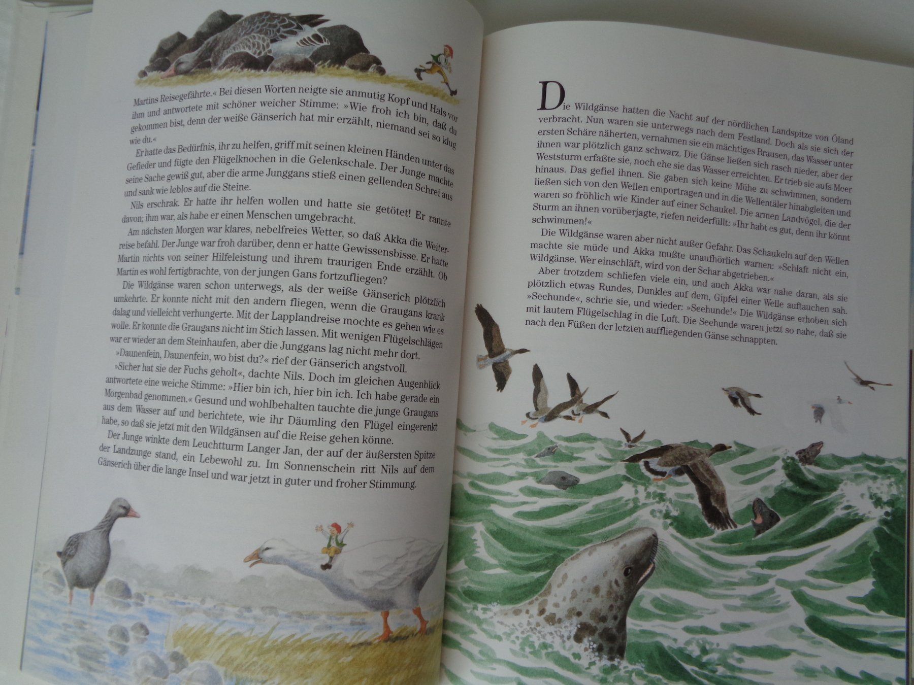 Libri: Nils Holgerssons wunderbare Reise - Schweden 1989 – Usato da Chur venduto da Oregano1 6