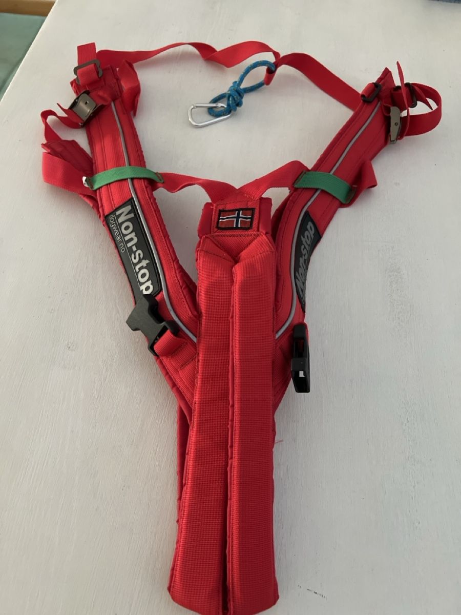 Non-Stop Dogwear Guinzagli & Collari: Zughunde-Geschirr – Nuovo (secondo la descrizione) da Embrach venduto da dariel1 2