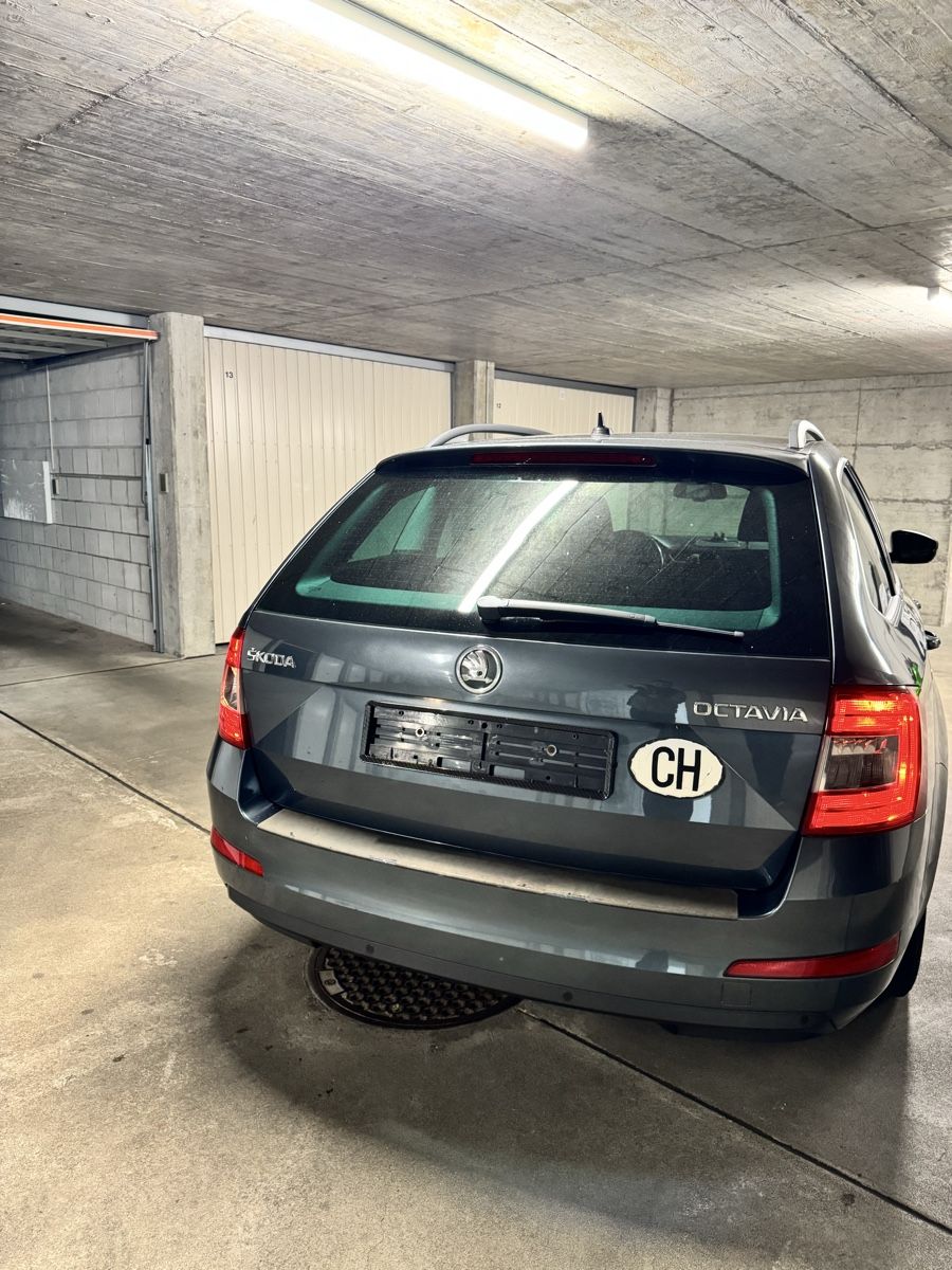 Skoda Automobili: Skoda Octavia 1.6 TDI – Usato da Küttigen venduto da B-Man 2