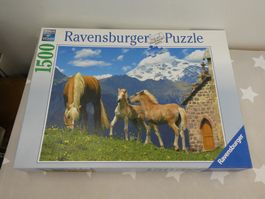 Puzzle 1500 Süsse Haflinger
