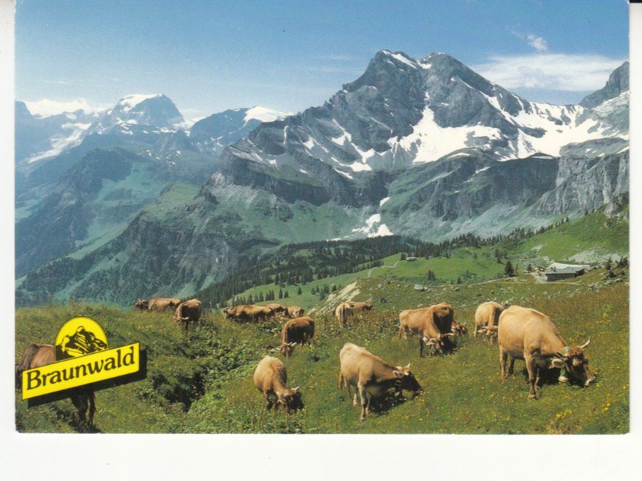 Cartoline postali: Braunwald 1995 – Usato da Bürglen TG venduto da StampGraf