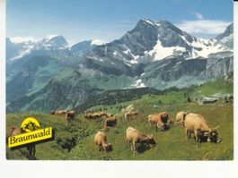 Braunwald 1995