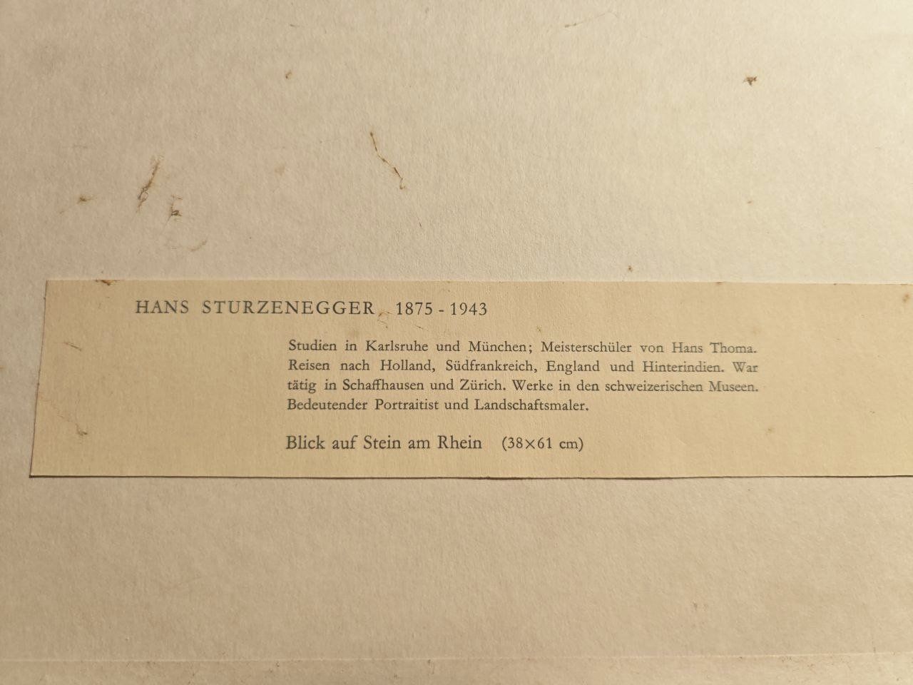 Dipinti: Hans Sturzenegger Stein am Rhein – Usato da Marthalen venduto da st1_np96