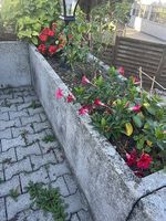 Blumentröge kostenlos abzugeben