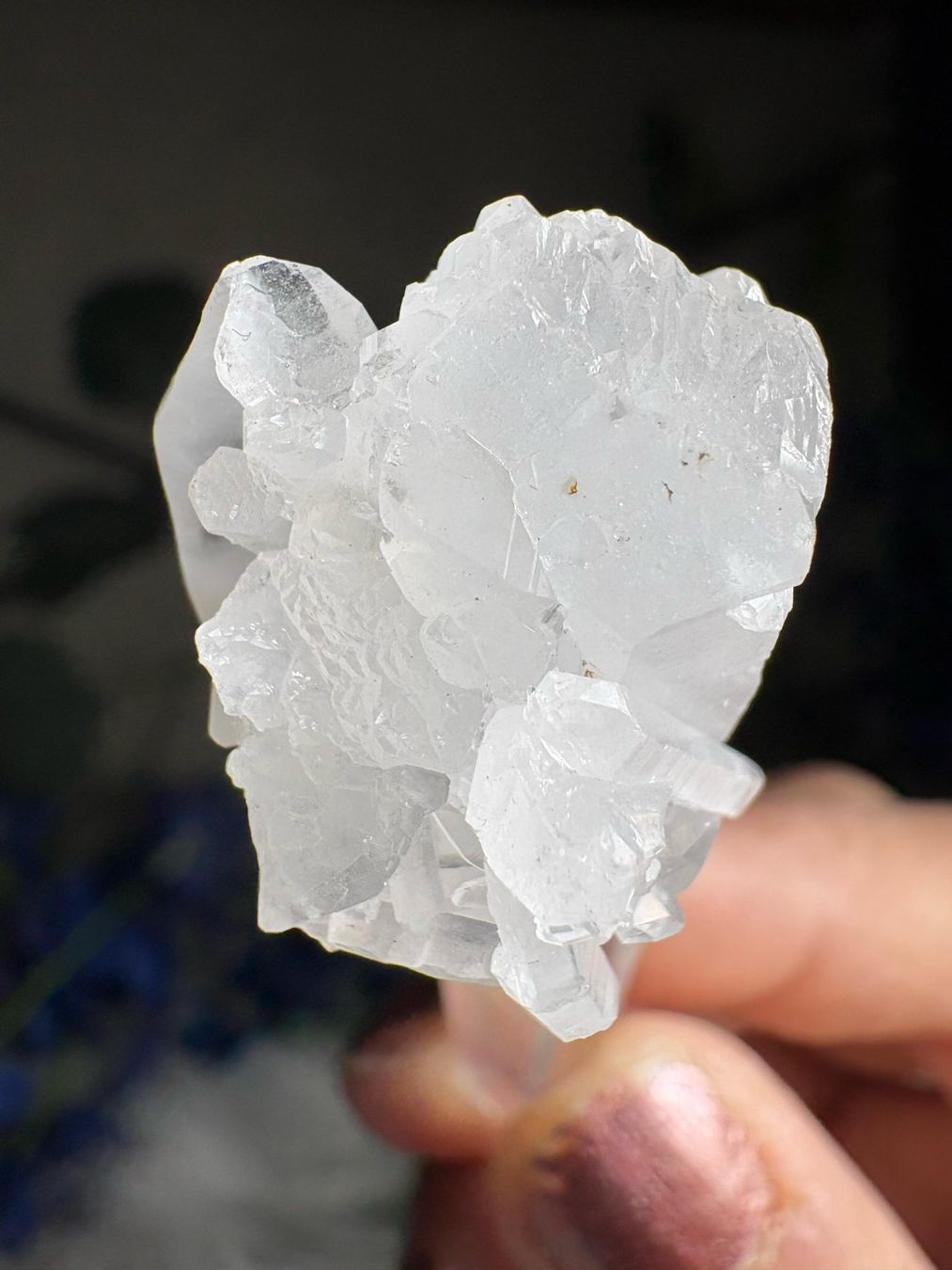 Minerali & Pietre curative: Kolumbianischer Lemurian-Quarz-Cluster – Nuovo (secondo la descrizione) da Neuheim venduto da m.hald 4