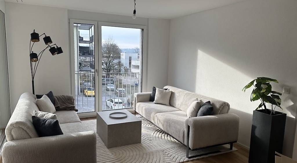 Divani: 2 Moderne Sofa  – Usato da Bischofszell venduto da Ronannigg