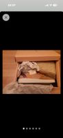 Baskets neuves Scotch & Soda 41