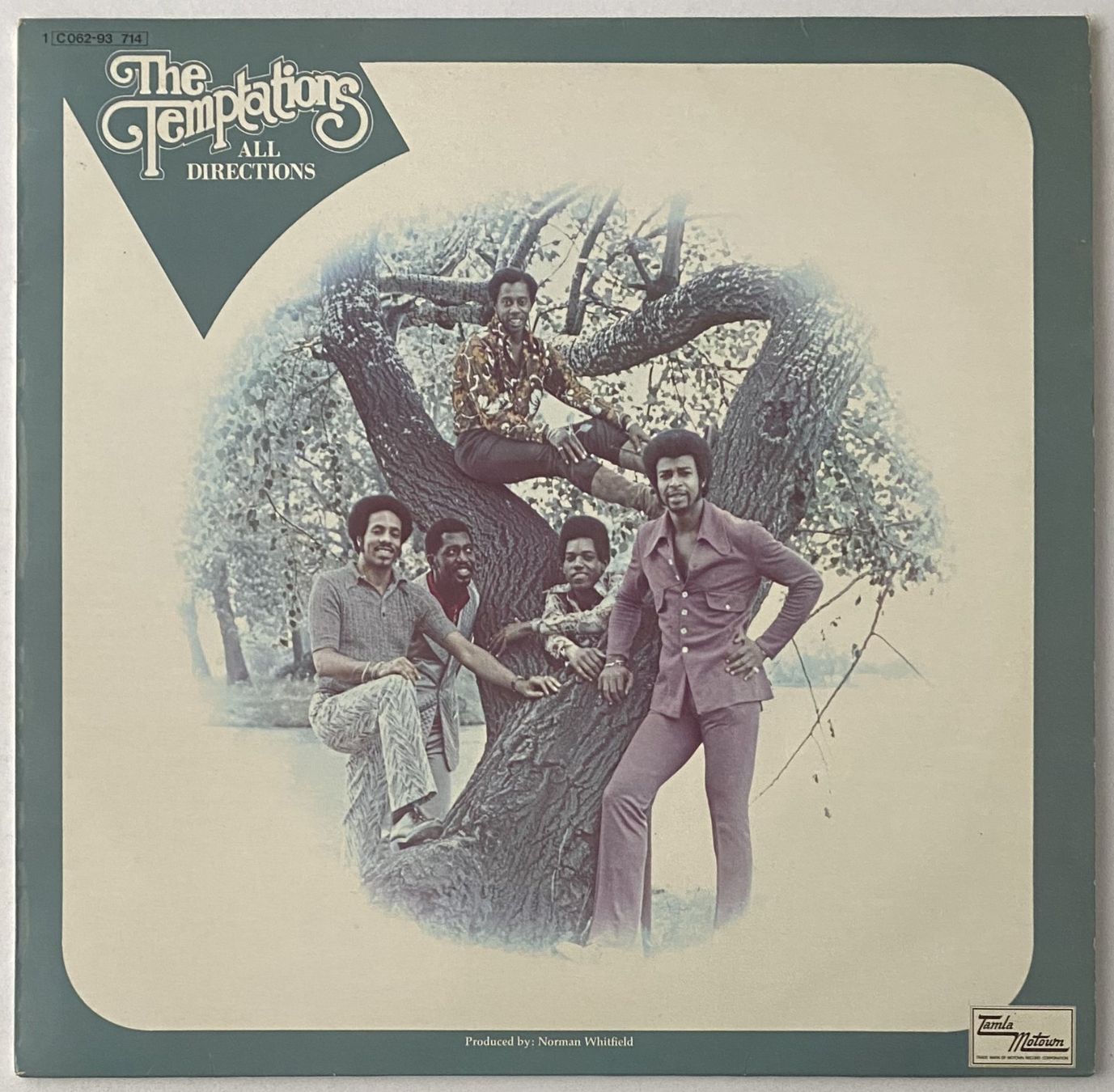 Dischi in vinile: The Temptations, All Directions – Usato da Flums venduto da Empe1