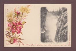 HANDECKFALL - Blumen - 1901