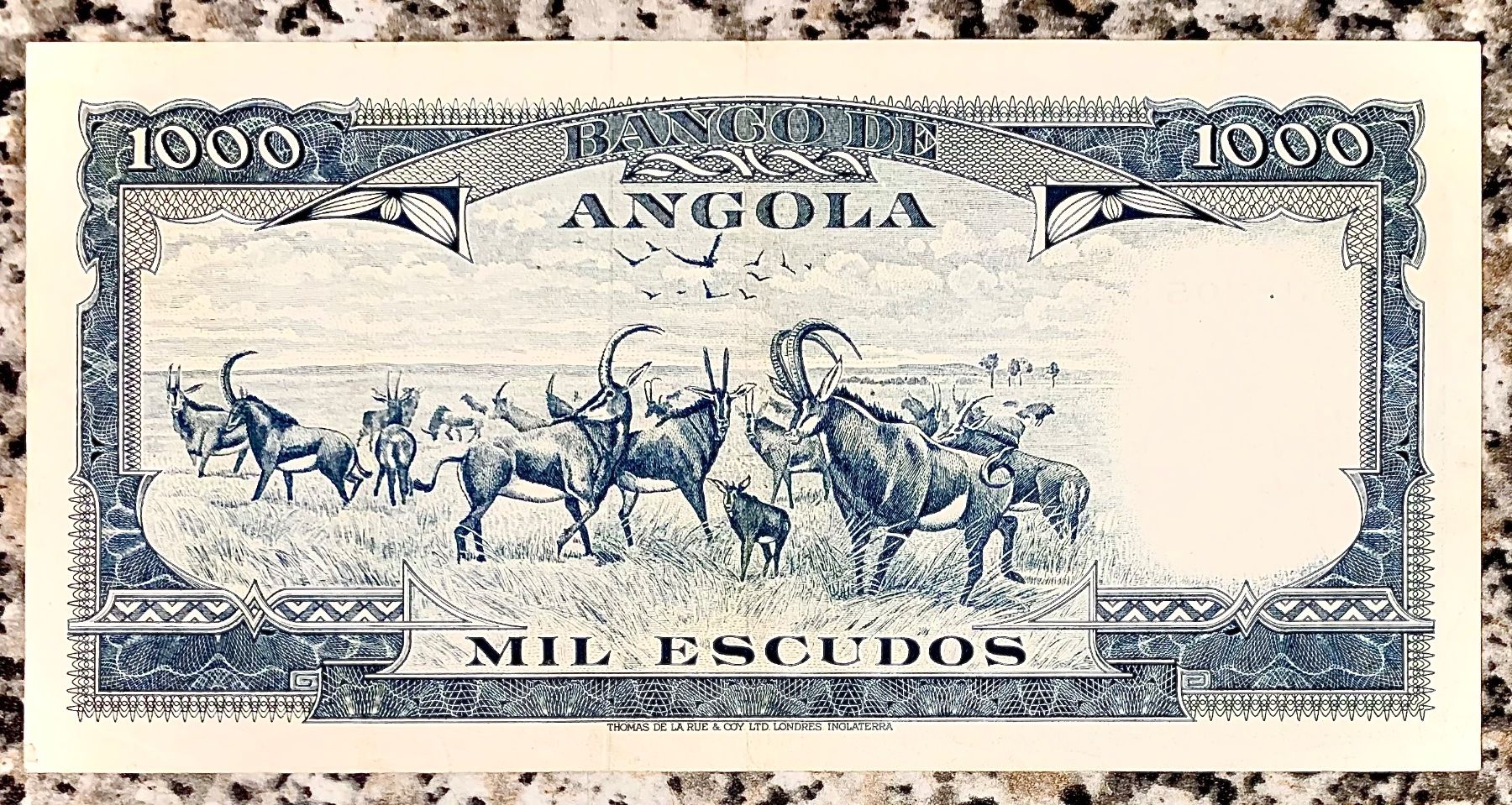Banconote: 1000 Escudos Angola 1970!!! aUNC!!! – Nuovo (secondo la descrizione) da Oberentfelden venduto da NunoLouro 1
