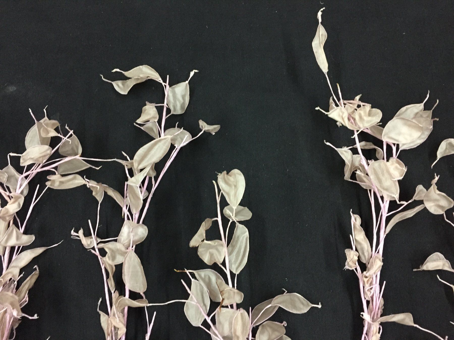 Piante & sementi: Künstliche Blumen / Kunstpflanze – Usato da Schaffhausen venduto da vintageville 8