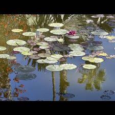 Profile image of Mondnacht_blau