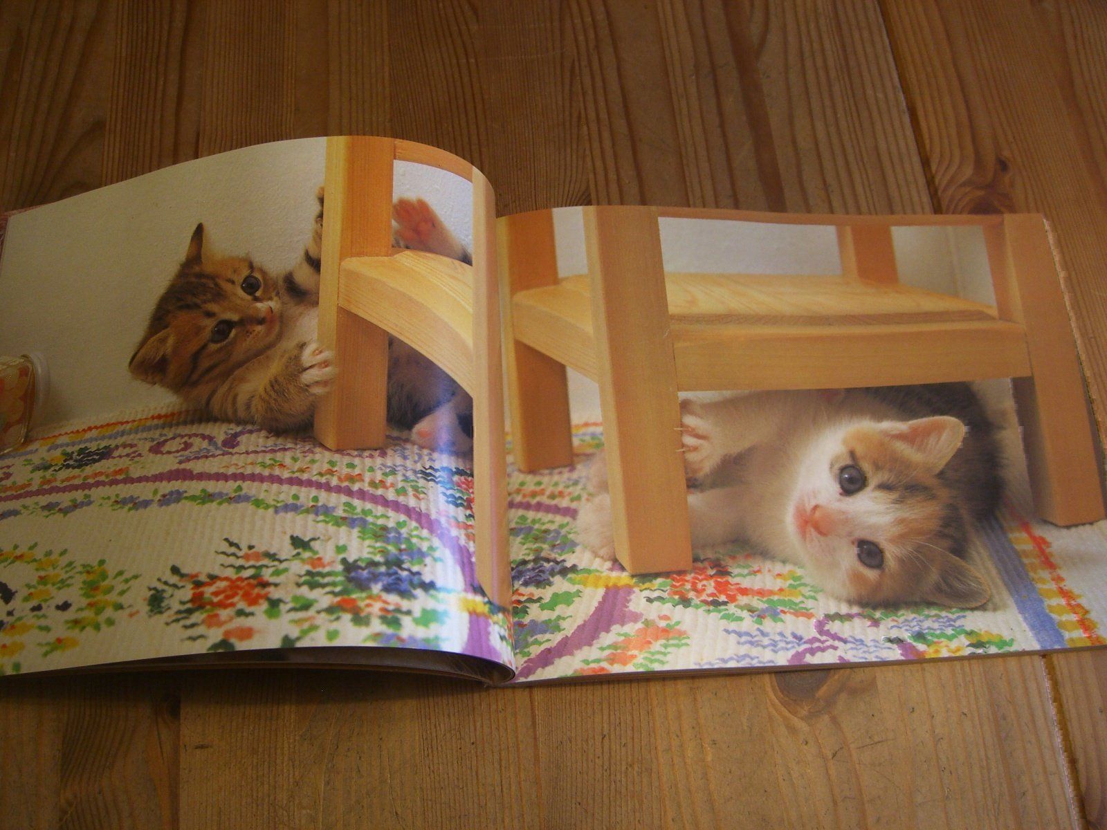 Bücher: Zauberhaftes Katzen-Buch "Katzenspiele" – Neu (gemäss Beschreibung) aus Winterthur von Gaia 2