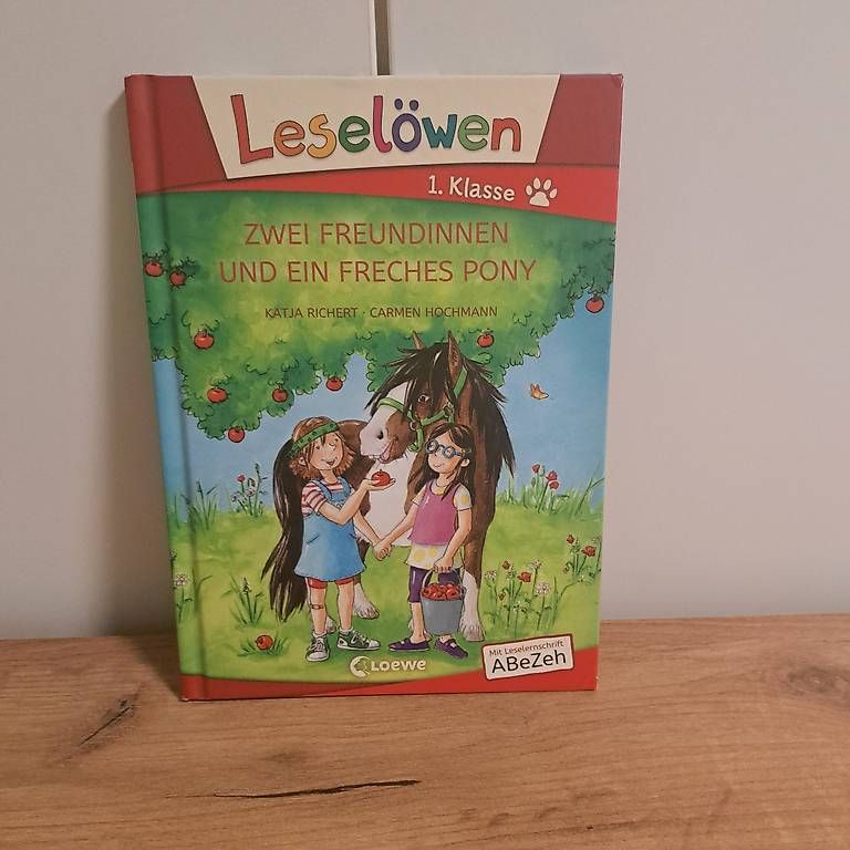 Bücher: Leselöwe 1.Klasse – Gebraucht aus Neftenbach von sam_jbb5