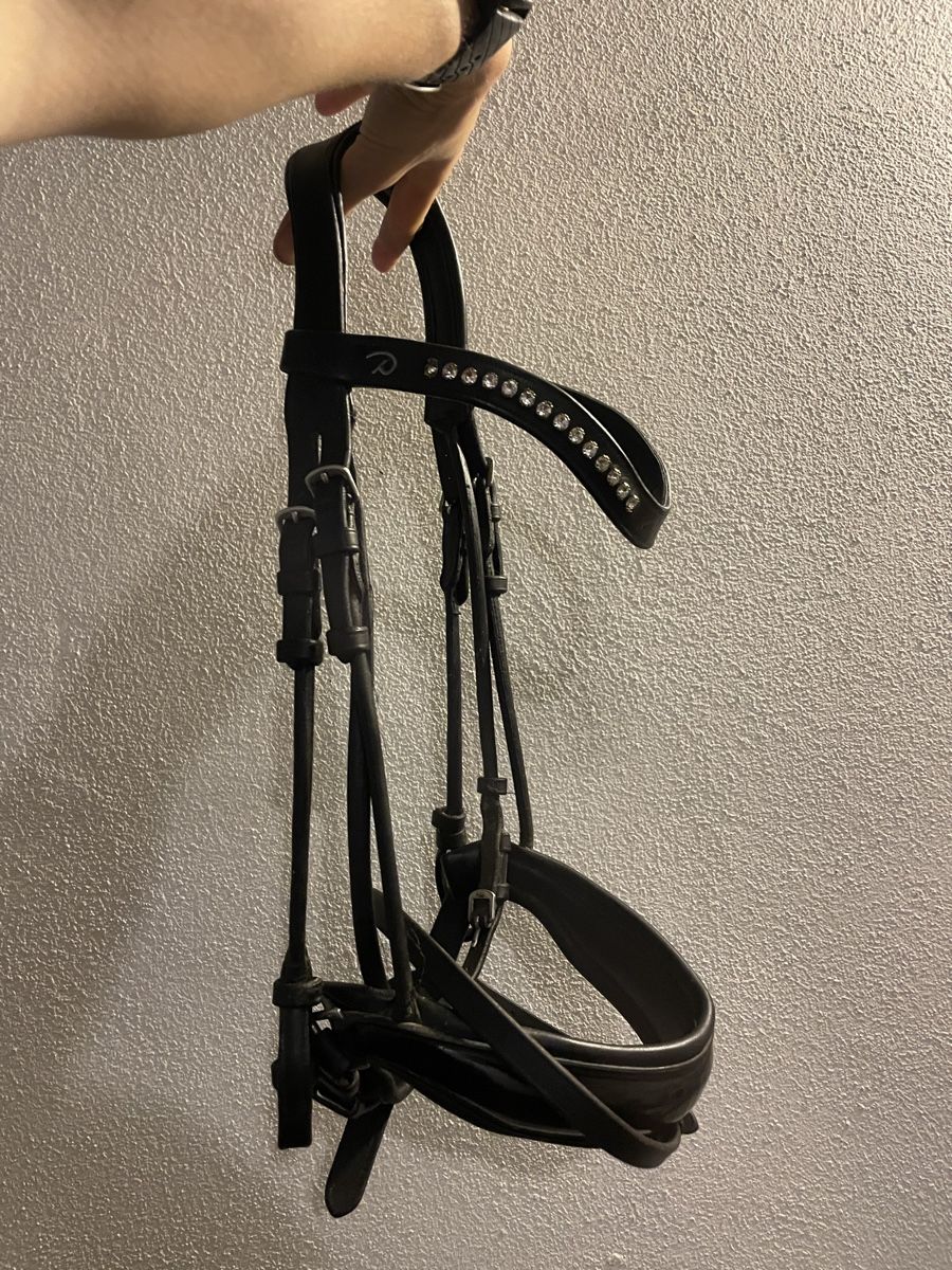 Briglie & Cavezze: DRESSAGE SNAFFLE BRIDLE DYON – Usato da Zürich venduto da Waikiki57 1