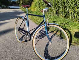 Stylisches Fam Huber Allesandro, 55 cm Rahmenhöhe, 7-Gang