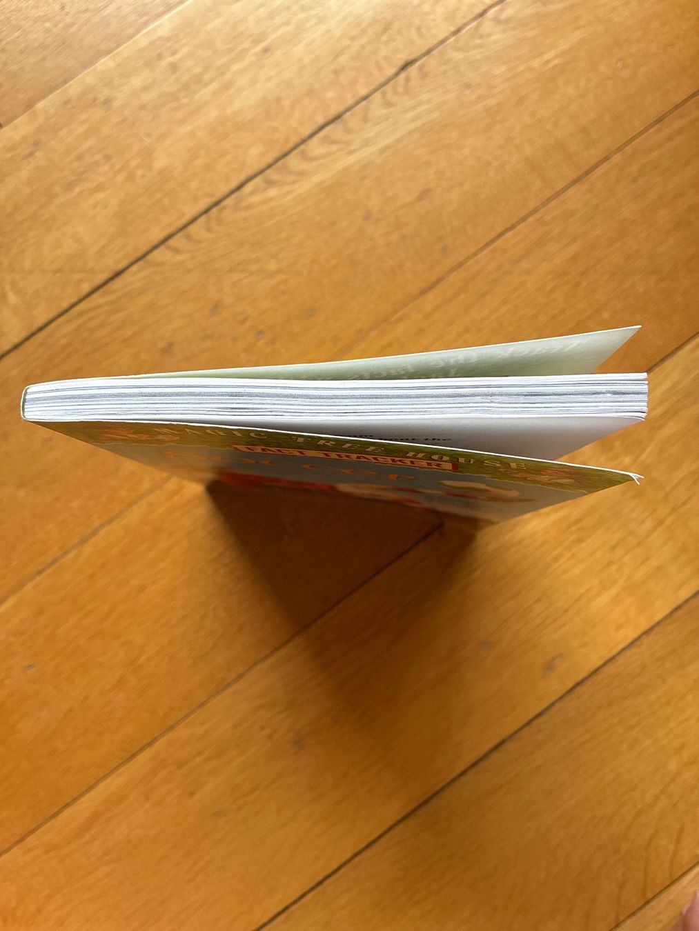 Libri: Soccer Magic Tree House Fact Tracker Mary Pope Osborne – Usato da Zollikon venduto da mythenschloss 2