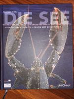 Die See