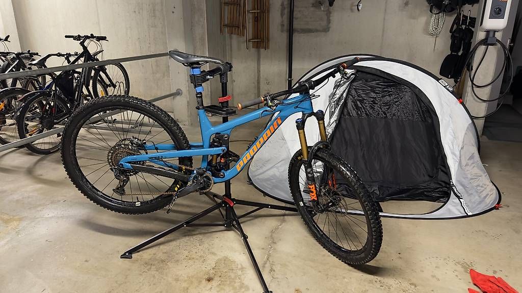 Propain Biciclette: Propain Tyee AL 29  Größe M – Usato da Hittnau venduto da Noelwitmer