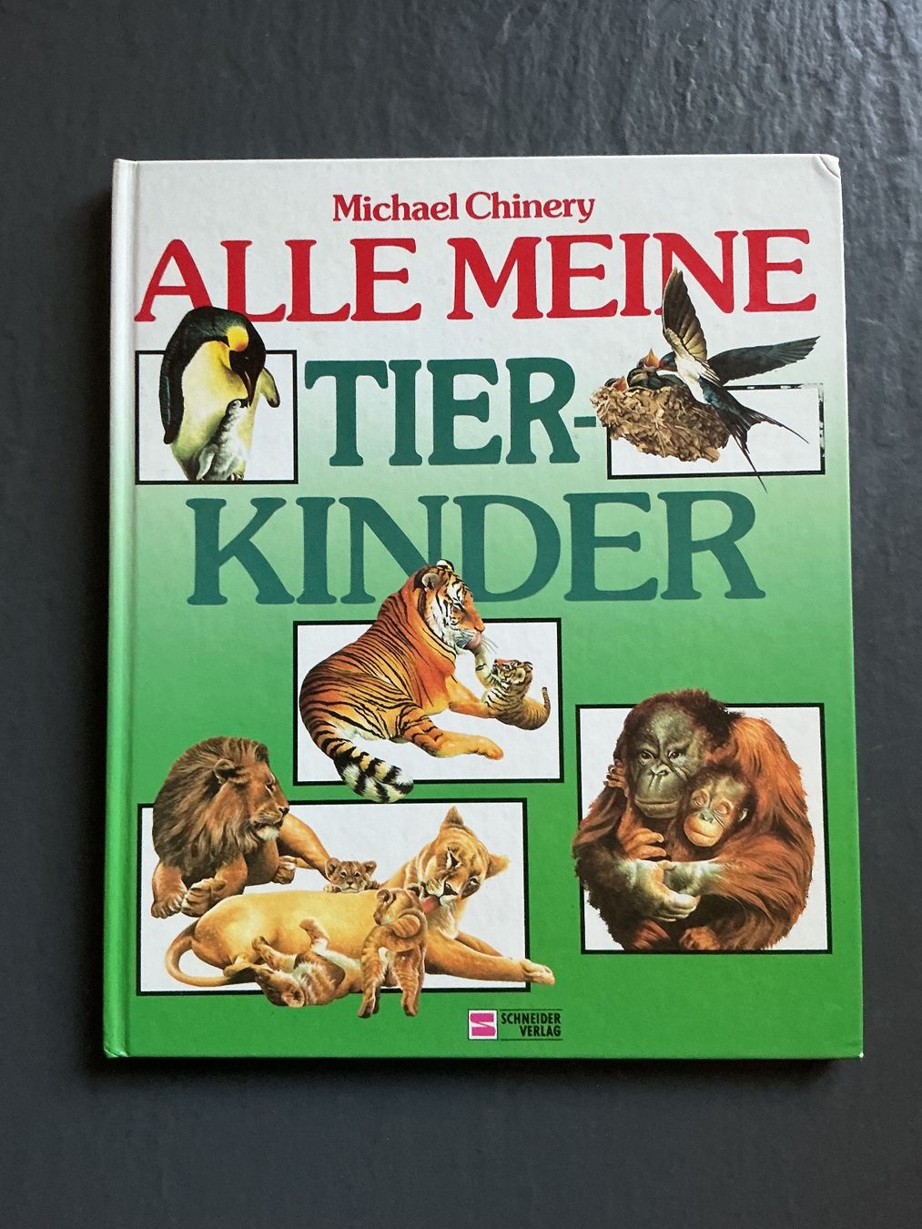 Libri: Alle meine Tierkinder – Usato da Niederhasli venduto da ercp4
