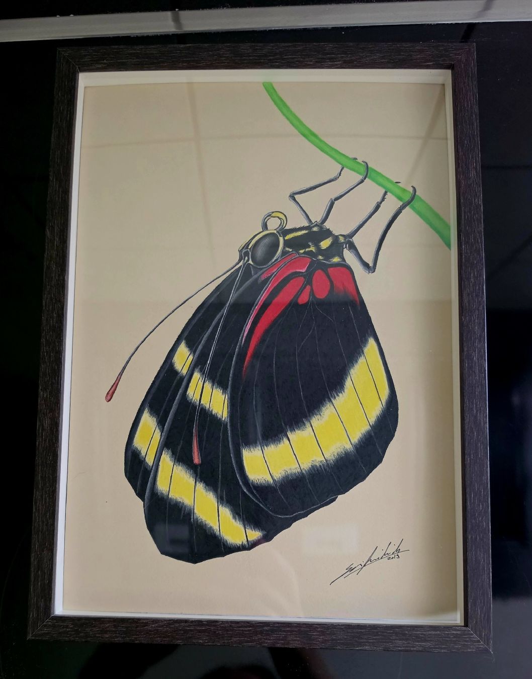 Dipinti: Schmetterling Zeichnung – Usato da Kriegstetten venduto da son_c5nh