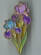 Plaquettes & Badges: Iris Blumen Pin – D'occasion à Zürich par t24_de