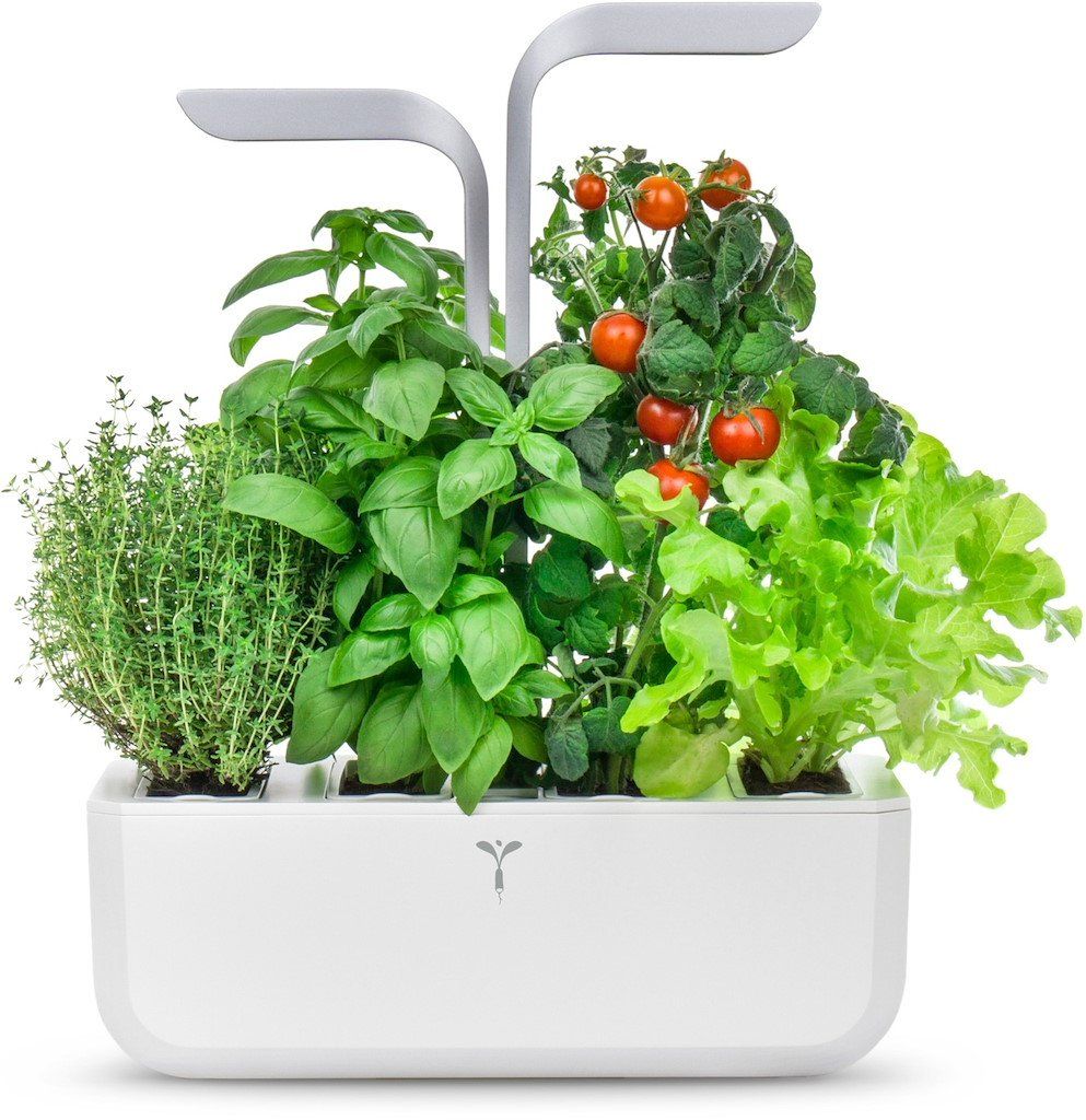 Vasi per fiori: Véritable Indoor Garten mit 4 Lingots, NEU – Nuovo e nell'imballaggio originale da Eschenbach LU venduto da Elysa1995 2