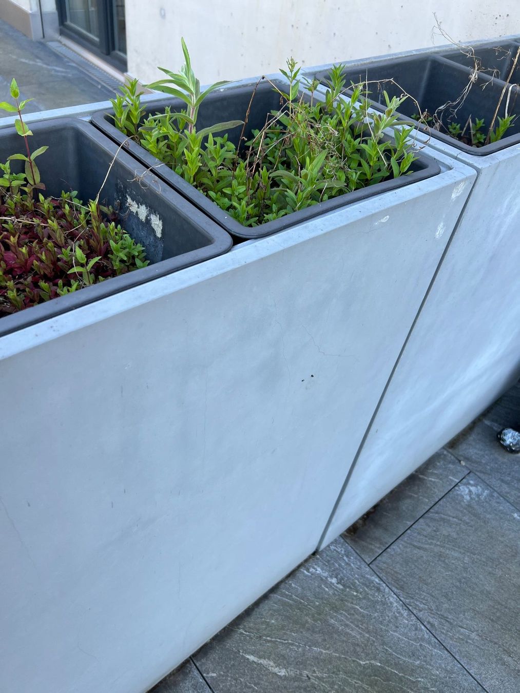 Vasi per fiori: Pflanztröge / Blumentöpfe – Usato da Kaltbrunn venduto da Fl.bischof 1