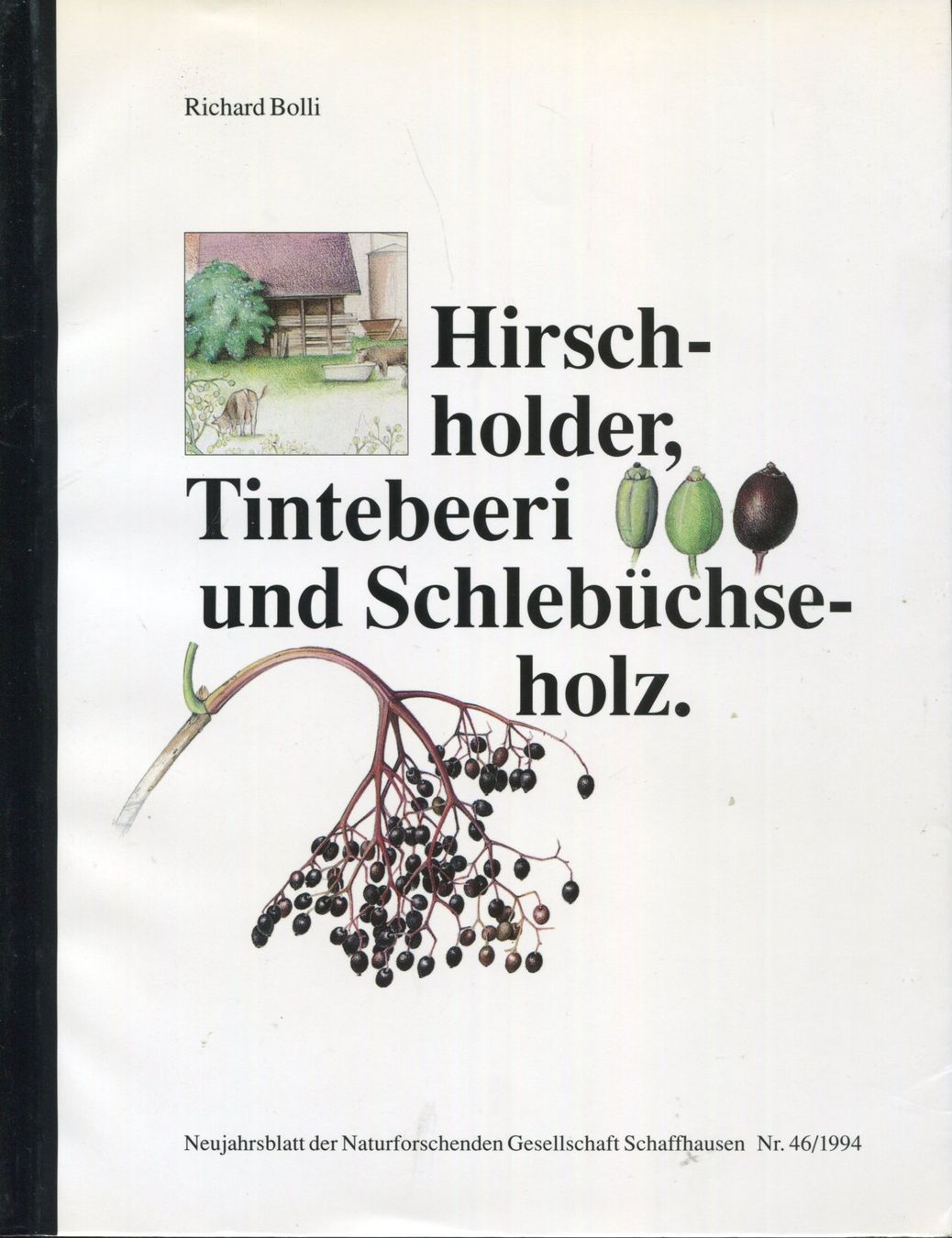 Bücher: Holunder, Neujahrsblatt – Gebraucht aus Aarau von Elmaar41