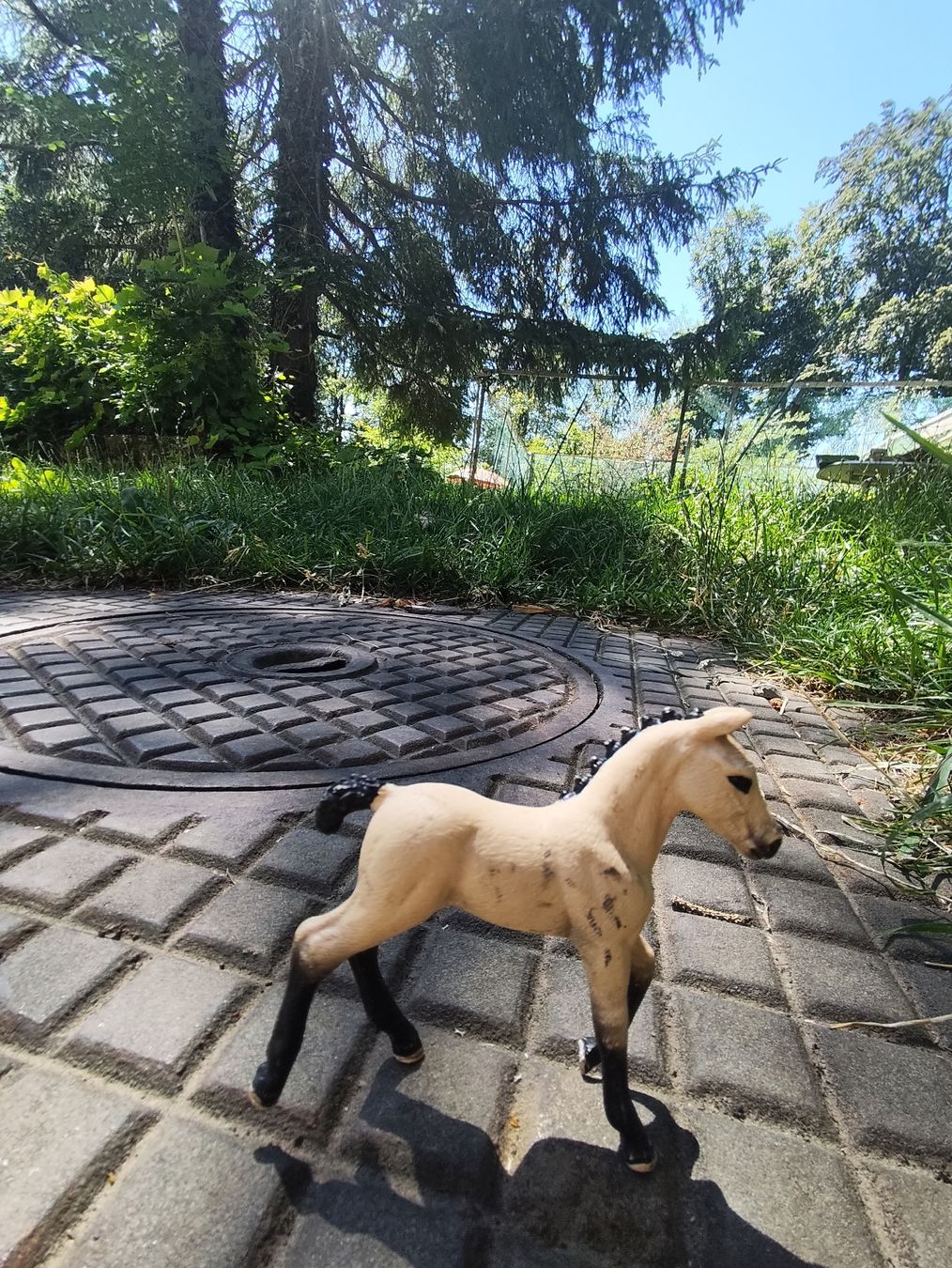 Schleich Giocattoli: 5 Schleich Pferde  – Usato da Wald ZH venduto da Enyafay 2