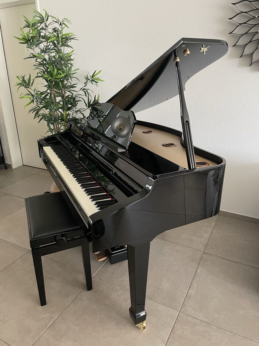 Roland デジタルグランドピアノ RG-3 電子ピアノ】ROLAND グランド型電子ピアノのご紹介｜島村楽器 アミュ