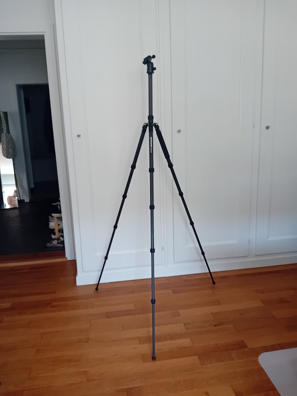 Manfrotto Treppiedi & Teste: Manfrotto Element Stativ – Usato da Bern venduto da ste_vq7x 1