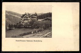 AK Beatenberg, Hotel-Pension National