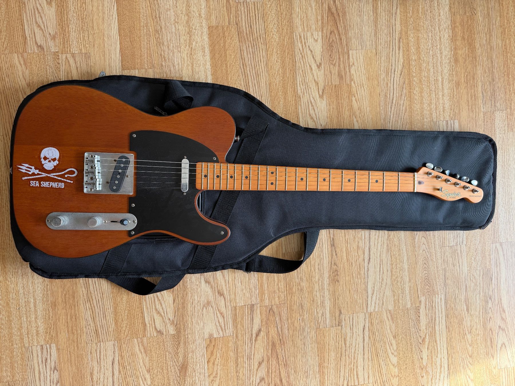 Squier Instruments de musique: Fender Squire Gitarre – D'occasion à Winkel par Kasimir010