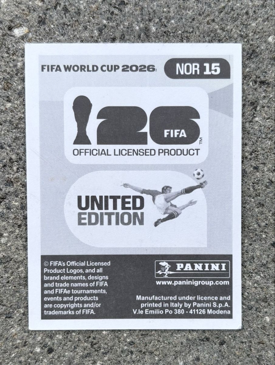 Panini Carte collezionabili: NOR 15 Panini Erling Haaland – Nuovo (secondo la descrizione) da Leuggern venduto da marinakeller90 1