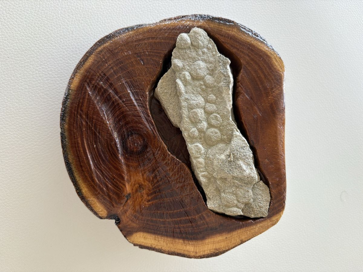 Minerali & Pietre curative: Ediacaran,archeological remains – Usato da Lausanne venduto da oyu_hgg5 1