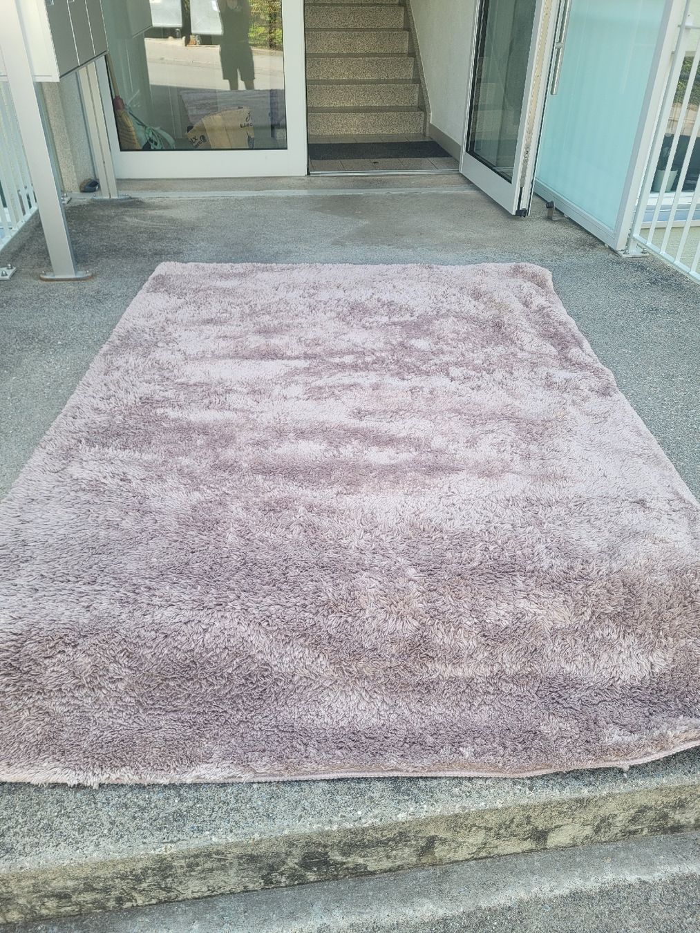 Conforama Tappeti: Weicher Teppich 160x230cm – Usato da Luzern venduto da 3d3lweiss