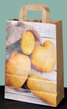 Papier-Tragtaschen 220/100 x 360 mm, für 5 kg