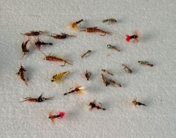 24 Stück verschidne Fliege